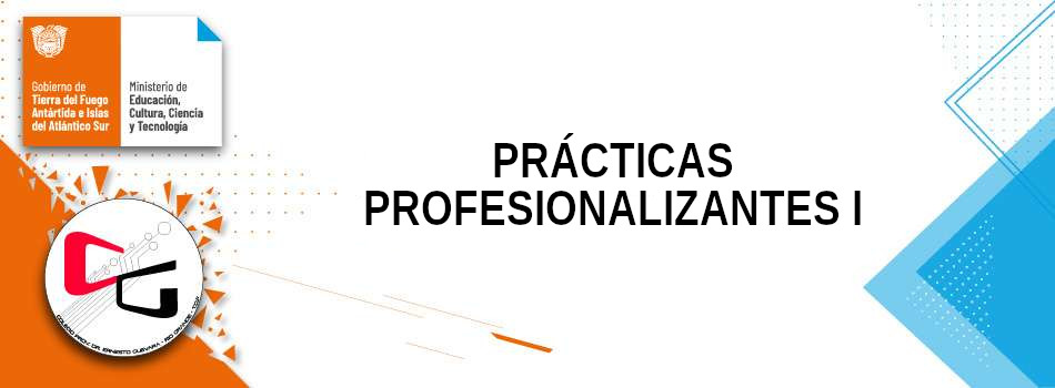 Prácticas Profesionalizantes 1