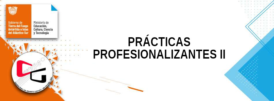 Prácticas Profesionalizantes 2